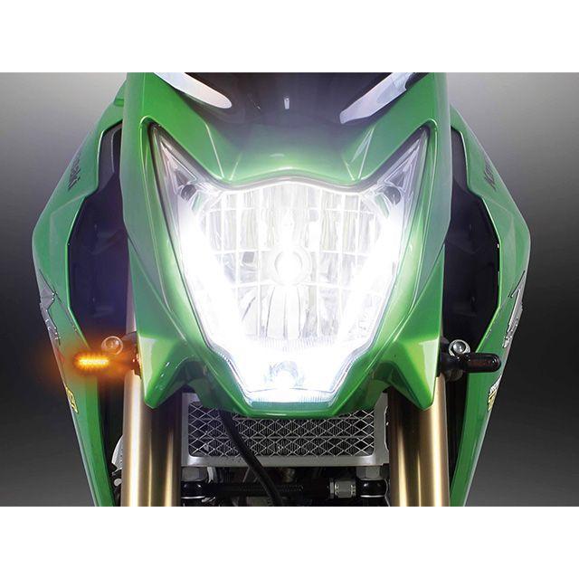 スペシャルパーツ武川 SP武川 Z125 PRO ストリームラインミニLED