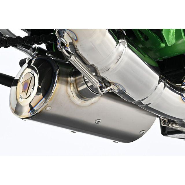 BEET（ビート） ビートジャパン Z900/SE NASSERT Evolution TypeII