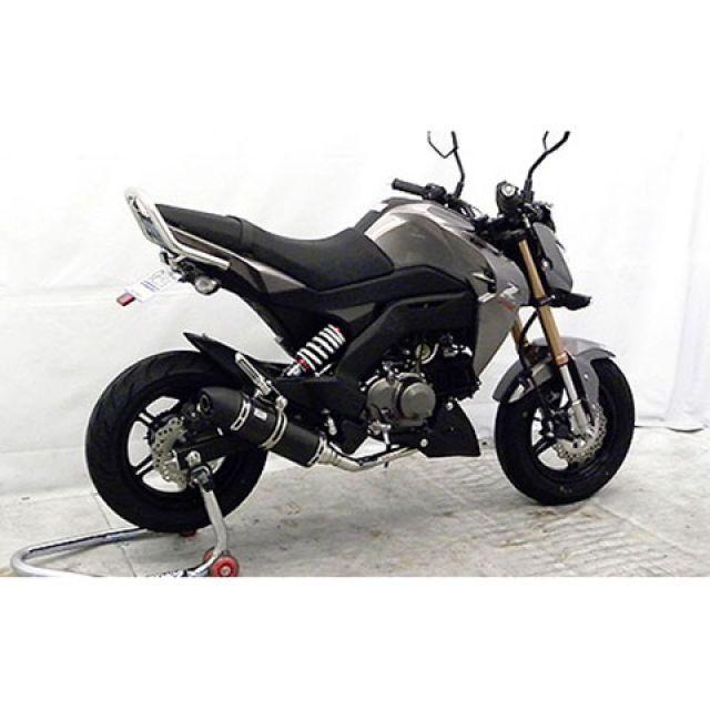 専用ページ WirusWin（ウイルズウィン） Z125 PRO Z125 PRO用 グラブバー