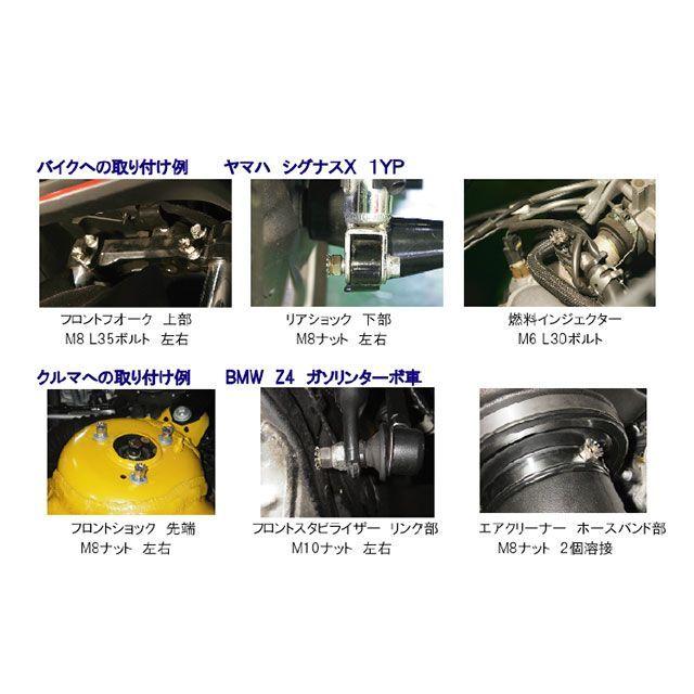 アディオ（ADIO） 汎用 除電キャップボルト サイズ M5 P0.8 L30 ADIO