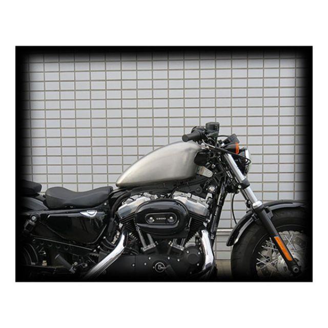 NEO FACTORY（ネオファクトリー） EFIモデルのスポーツスター スポーツ