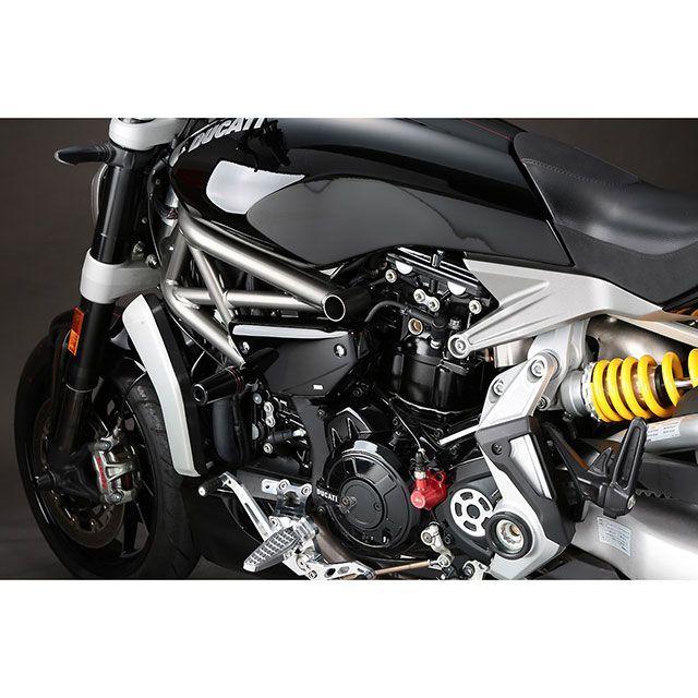 アエラ Xdiavel ETCケース AELLA_2