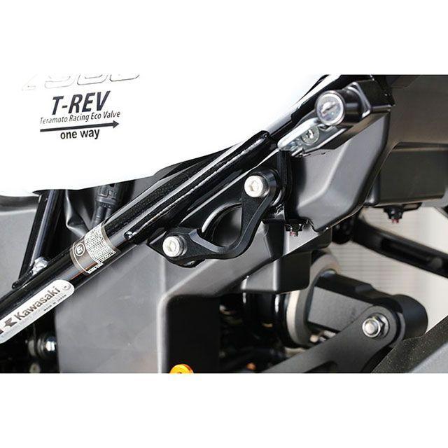 れ様確認用☆ ベビーフェイス Z900RS レーシングフック カラー ゴールド BABYFACE