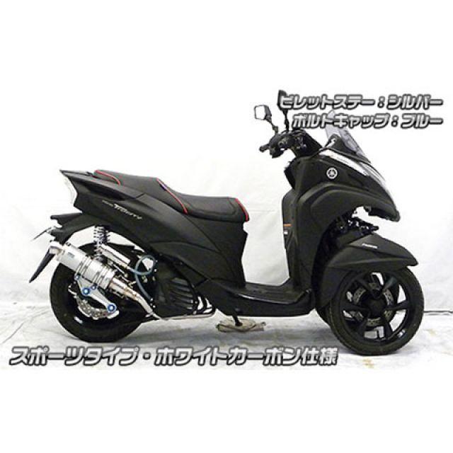 WirusWin（ウイルズウィン） トリシティ125 トリシティ125（2BJ-SEC1J