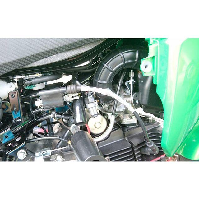 DILTS JAPAN（ディルツジャパン） Z125 PRO ブラインドカプラーセット