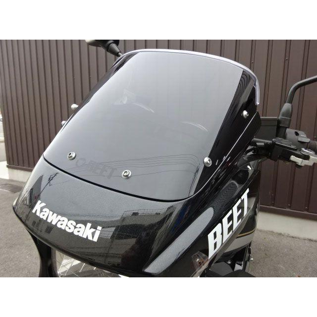専用 BEET（ビート） ビートジャパン ZRX1200 DAEG スモークスクリーン