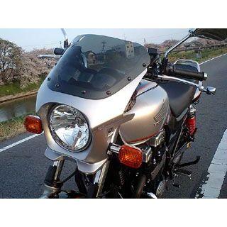 ワールドウォーク 汎用ビキニカウル DS-01 typeAero（デジタルシルバーメタリック） WW_1