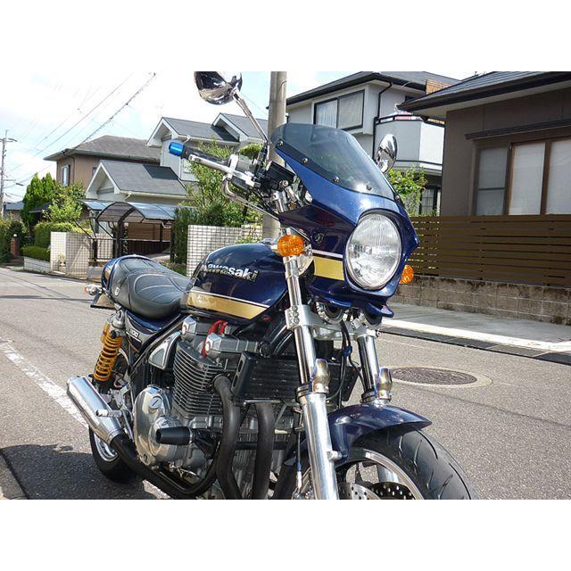 ワールドウォーク 汎用ビキニカウル DS-01 typeR（メタリック