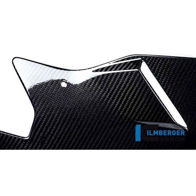 イルムバーガー S 1000 R ベリーパンカーボン BMW S 1000 R ｜ VEU.215