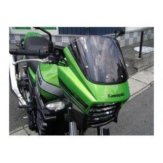 PLEASURE（プレジャー） ZRX1200DAEG バイザーリフトプレート