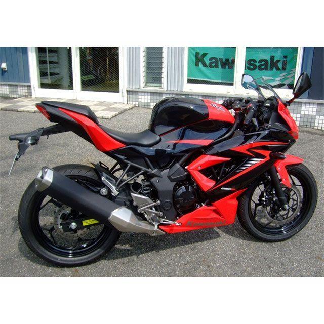 プレジャー Ninja250SL タンクオーバルカバー PLEASURE : モトメガネ