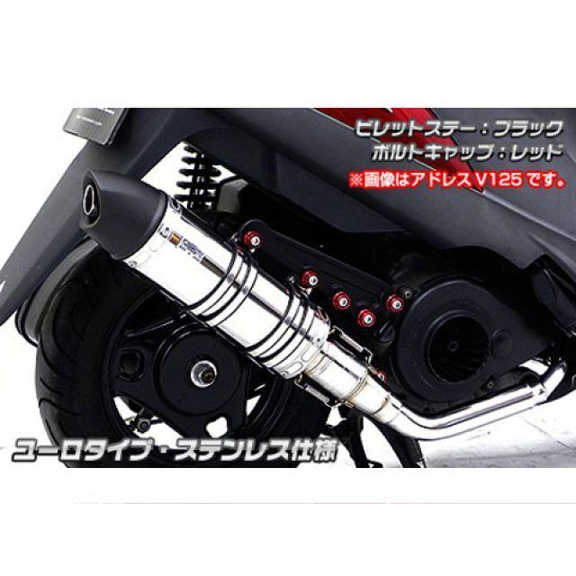 WirusWin ウイルズウィン ズーマーX ズーマーX用 アニバーサリー