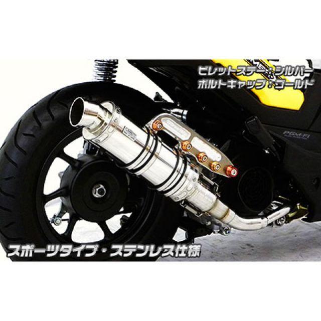 WirusWin（ウイルズウィン） ズーマーX ズーマーX用 アニバーサリー