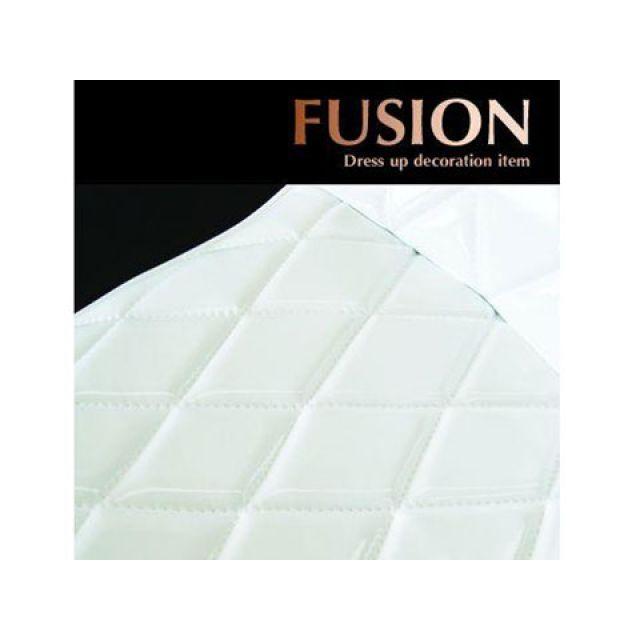 アイネット フュージョン（1型/2型/現行新車・タイプX） フュージョン