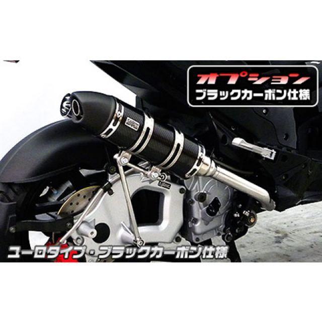 ウイルズウィン G-MAX125 G-MAX125用 ロイヤルマフラー ユーロタイプ O2センサー取付口装備 オプション オプションC WirusW…の画像