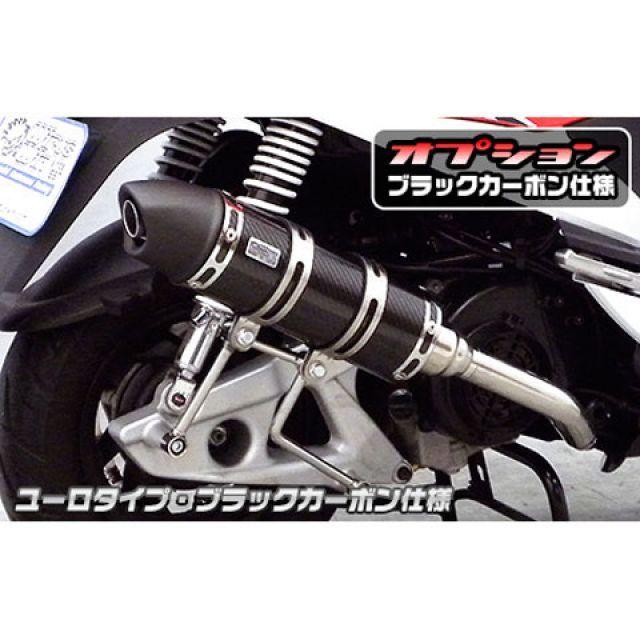 ウイルズウィン Z1 125 Z1 125用 ロイヤルマフラー ユーロタイプ O2センサー取付口装備 オプション オプションC WirusWinの画像