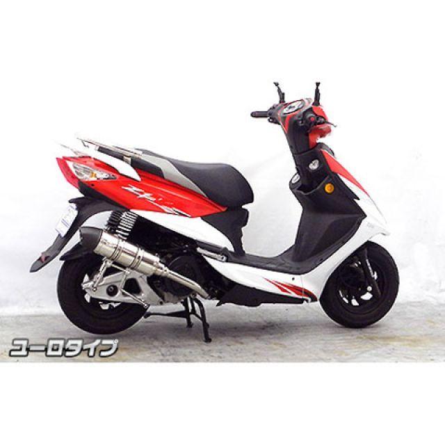 ウイルズウィン Z1 125 Z1 125用 ロイヤルマフラー ユーロタイプ O2センサー取付口装備 オプション オプションD WirusWinの画像