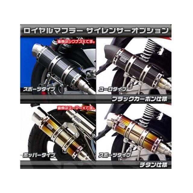ウイルズウィン Z1 125 Z1 125用 ロイヤルマフラー ユーロタイプ O2センサー取付口装備 オプション オプションD WirusWinの画像