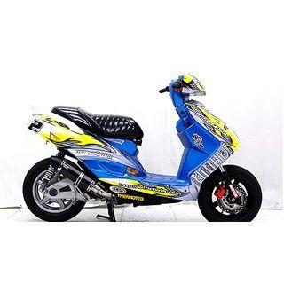 WirusWin（ウイルズウィン） シグナスX（1型） シグナスX（1型）用