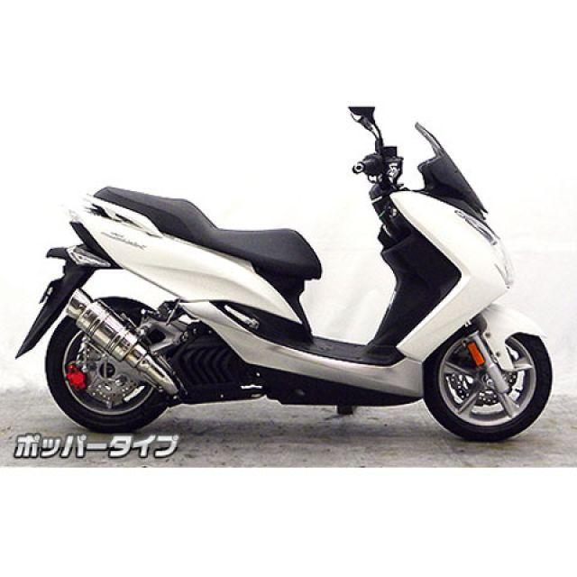 WirusWin（ウイルズウィン） マジェスティS マジェスティS（SMAX）用
