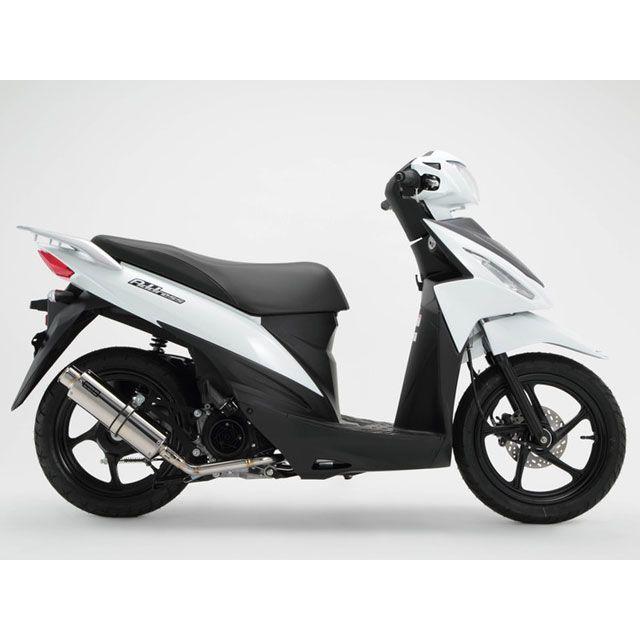 BEAMS（ビームス） ADDRESS 110 SS300 SP（JMCA認定） マフラー