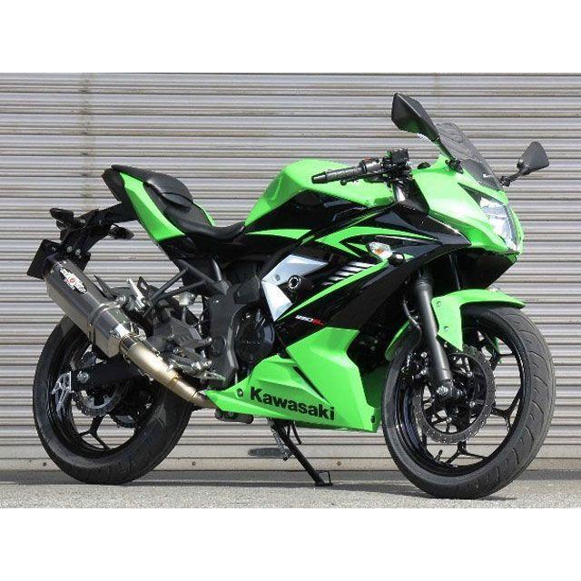 R様用 BEET（ビート） ビートジャパン Ninja250SL NASSERT Evolution Type II