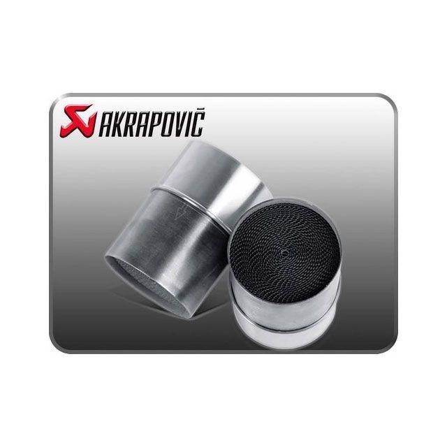 AKRAPOVIC（アクラポビッチ） ZZR 1400/ ZX14R Catalytic converter