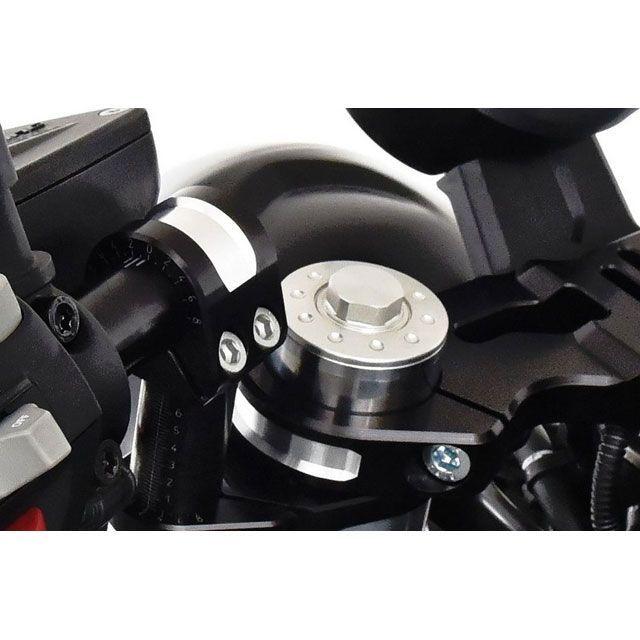 AC SCHNITZER ACシュニッツァー R nineT Scrambler Fork bridge