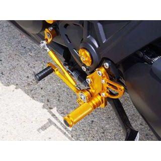 ベビーフェイス DIAVEL バックステップキット カラー ゴールド BABYFACE_3