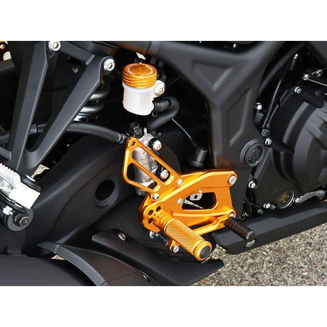 専用です！ ベビーフェイス MT-25 YZF R25 バックステップキット カラー