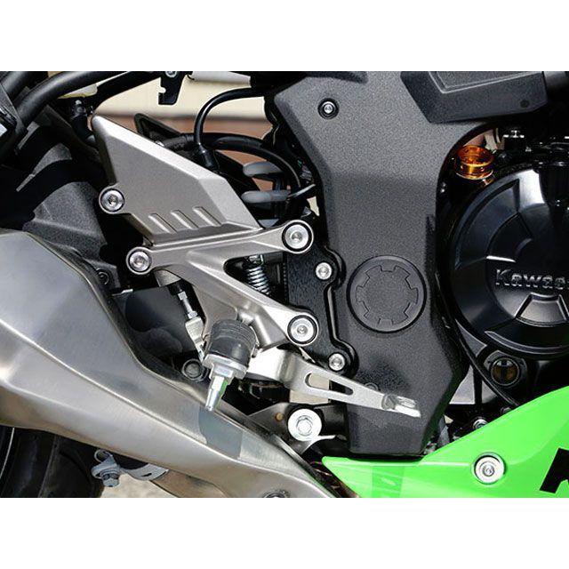 ベビーフェイス Ninja250SL セットバックプレート BABYFACE