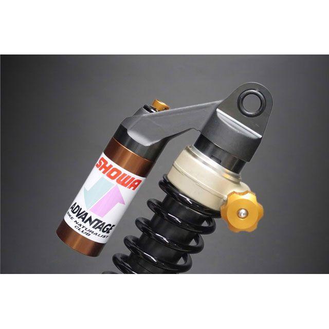 アドバンテージショーワ ADVANTAGE SHOWA RS-γリヤーサスペンション