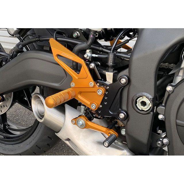 ノーマル+金字 SNIPER（スナイパー） NINJA ZX-25R NINJA ZX-25R ストリート用 バック