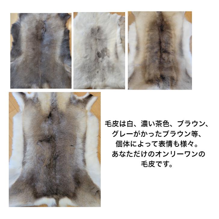 防水加工/超特大サイズ【フィンランド ラップランド製】高級 防水加工/超特大サイズ【フィンランド ラップランド製】高級