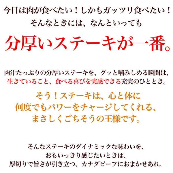 ステーキ サーロインステーキ 1.2kg 300g×4 ステーキ肉 厚切り 熟成肉 赤身 肉 BBQ 冷凍 肉の日 お歳暮 2024 ギフト |  | 02