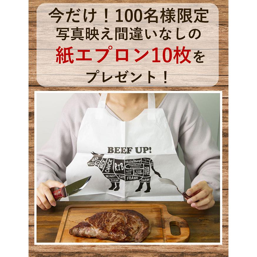 BBQ7点食べ比べセット 焼肉セット メガ盛り 肉 バーベキューセット 
