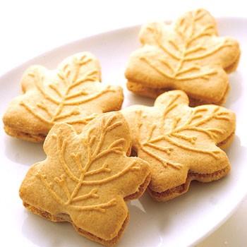 Sale 61 Off メープルテルワー メープル シロップ クリーム クッキー 24枚入り 350g とりあえず12 箱セット カナダ土産 人気不動1位 メープルクッキー カナダ旅行 12箱 Whitesforracialequity Org