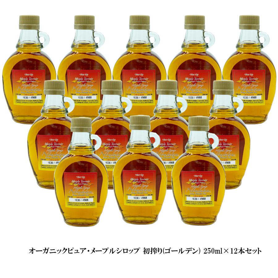 メープルシロップ 250m 限定ロット 初搾り ×12本 激安 お得セット