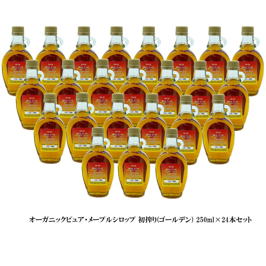 メープルシロップ 250m 限定ロット 初搾り ×24本 激安 お得セット