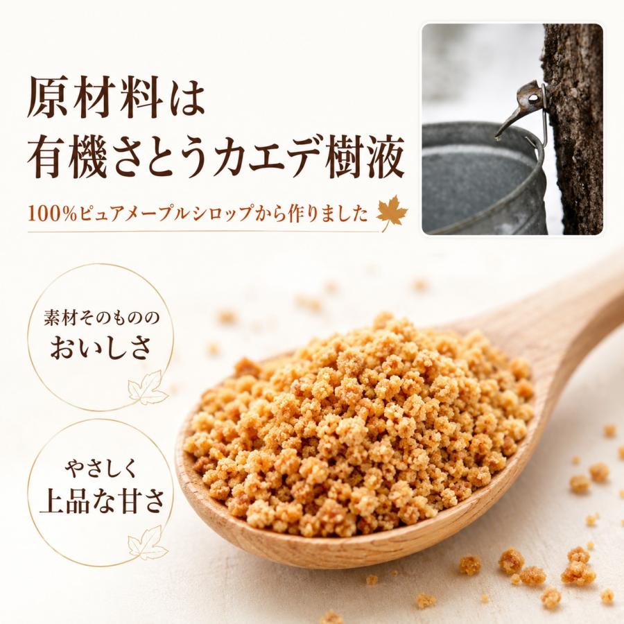 メープルシュガー オーガニック 100g 6箱セット カナダ産 有機メープル