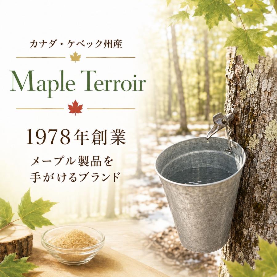 メープルシュガー オーガニック 100g 6箱セット カナダ産 有機メープル