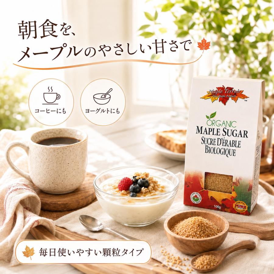 メープルシュガー オーガニック 100g 6箱セット カナダ産 有機メープル