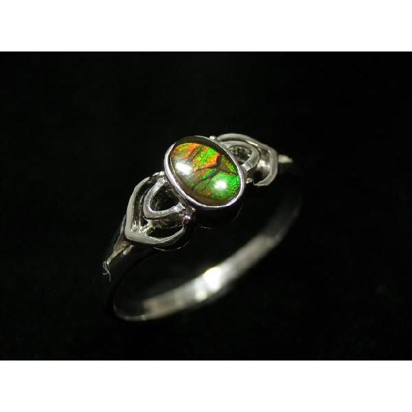 稀少な化石宝石アンモライト・【シルバーリング】Korite社