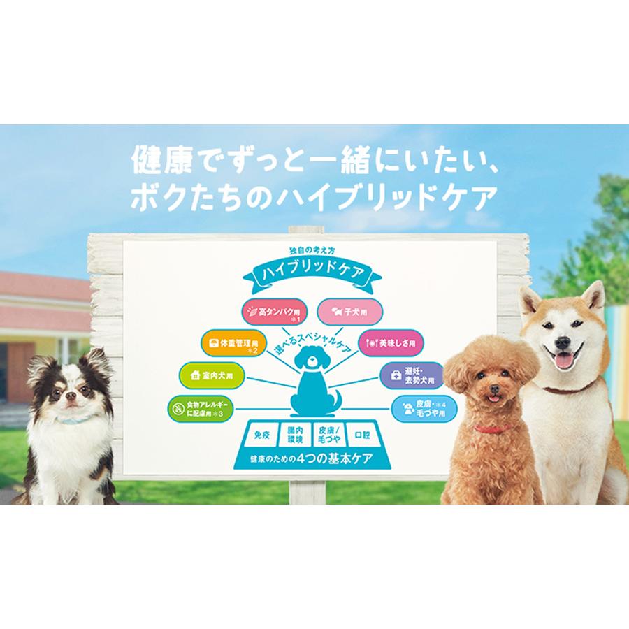 マースジャパン プロマネージ 成犬用 高たんぱくレシピ チキン 小粒 3.3kg PGF70 1ケース3個セットの画像