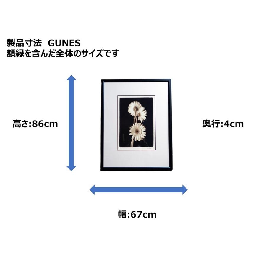 柔らかい Gunes 絵画 アートポスター 訳アリ品 花 フラワー シンプルデザイン 額縁込み おしゃれ 人気ショップが最安値挑戦 Andrewdpearce Com
