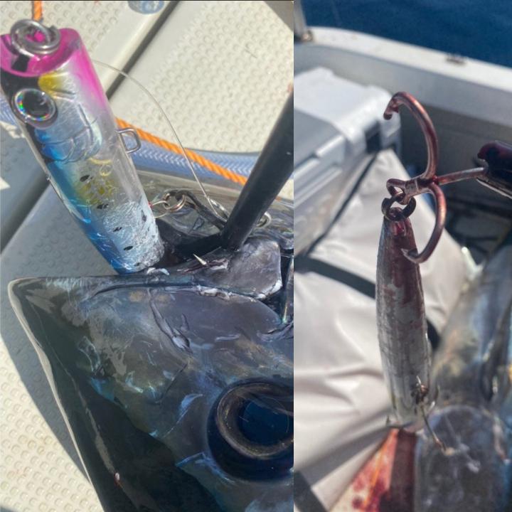 フックリムーバー 針はずし ブルー クイックハズシ フィッシングツール 魚に触れずにレバー 一発外し 釣り ルアー |  | 16