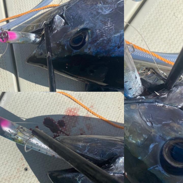 フックリムーバー 針はずし クイックハズシ フィッシングツール 魚に触れずにレバー 一発外し hook sharpener 船釣り 波止釣り 磯釣り |  | 13