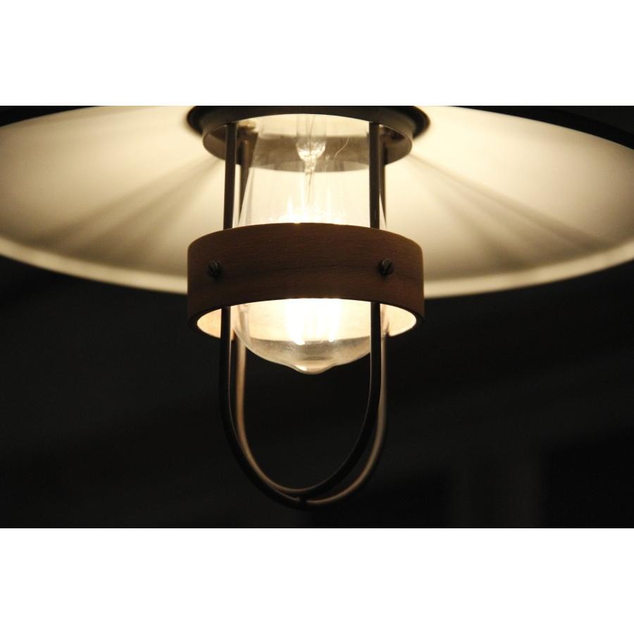 エジソン型 LED付き】ペンダントライト 天井照明 インテリア