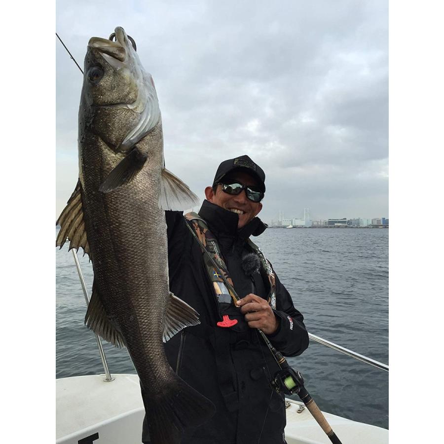 17新作モデル アブガルシア Abu Garcia シーバスロッド ベイト ソルティーステージ Prm フェニーチェ Saltystage Prm Fenice Www Lindnerdental Com