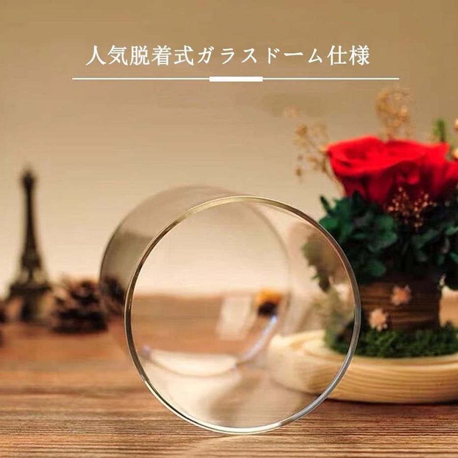 最新のデザイン プリザーブドフラワー 薔薇 メッセージカー 手提げ袋 ギフトボックス フラワーギフト 枯れない花 バラ ガラスドーム 誕生日プレゼント ドライフラワー 懐中電灯 ハンディライト Pathwaysfl Org